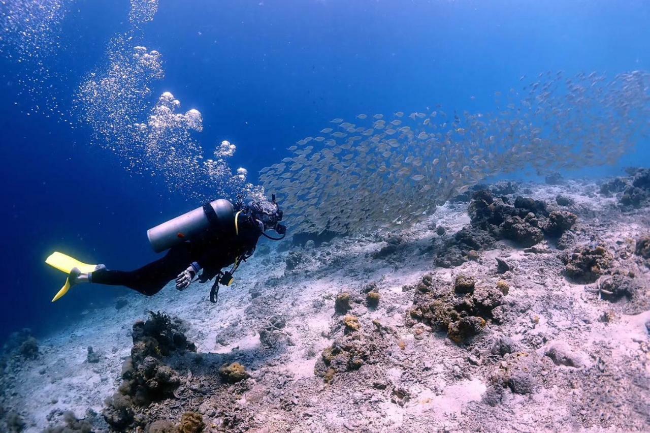 Blue Ocean Lodge & Diving Centre Semporna 蓝海潜水旅舍 Eksteriør billede